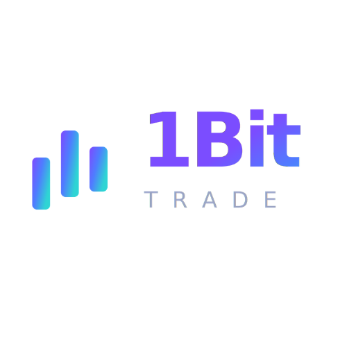 1bit
